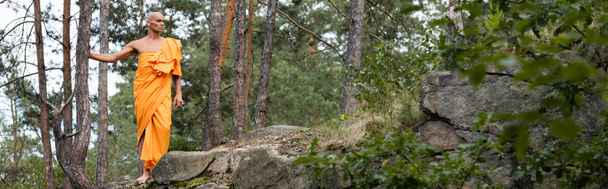 full length άποψη του βουδιστής σε πορτοκαλί ρόμπα περπάτημα στο δάσος, πανό - Φωτογραφία, εικόνα