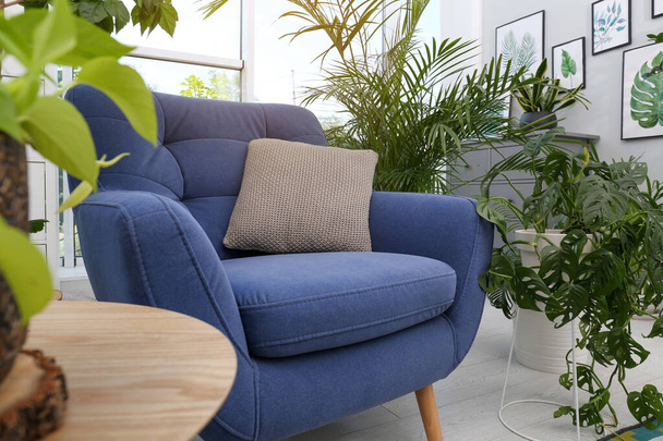 Comfortable armchair and beautiful houseplants in room. Lounge area interior - Fotó, kép