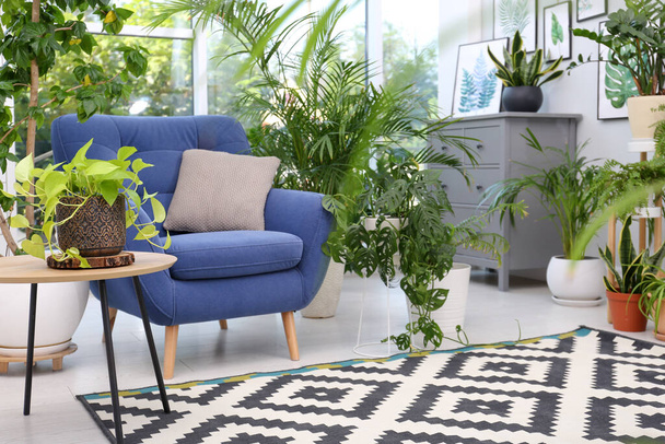 Comfortable armchair and beautiful houseplants in room. Lounge area interior - Fotó, kép