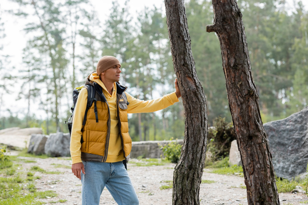 traveler in warm vest and beanie looking away while standing near trees in forest - Foto, Bild