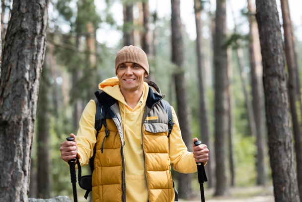 felice uomo in berretto e gilet caldo in piedi con bastoni da trekking nella foresta - Foto, immagini