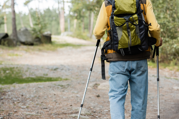 visão traseira do homem cortado com mochila e postes de trekking andando na floresta - Foto, Imagem