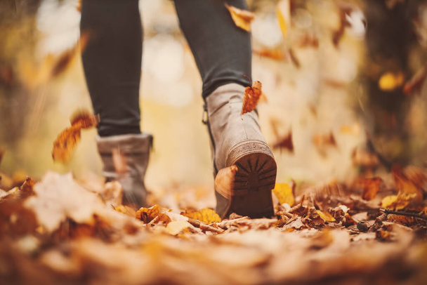 Woman walking alone in the autumnal park - Fotoğraf, Görsel