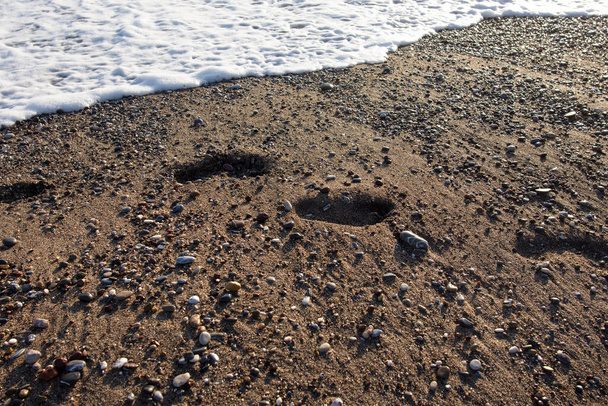 Kamienie żwirowe na plaży morskiej. Toczące się fale morza z pianą - Zdjęcie, obraz