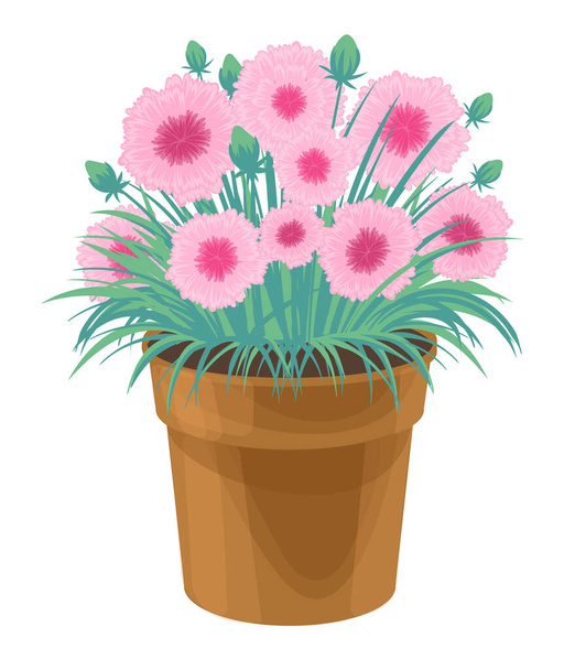 Frühling bunte Blumen im Topf Pflanzen für Haus und Garten, Topfpflanzen - Vektor, Bild