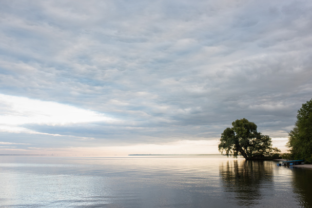 Puut meren rannikolla taivaalla taustalla  - Valokuva, kuva