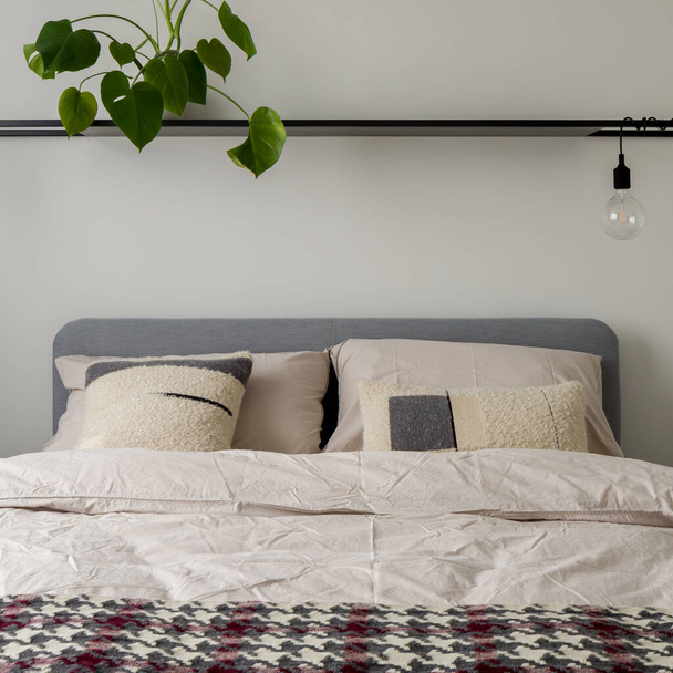 Zbliżenie na wygodne łóżko ze stylową pościelą w sypialni z rośliną domową na półce nad łóżkiem z żarówką - Zdjęcie, obraz