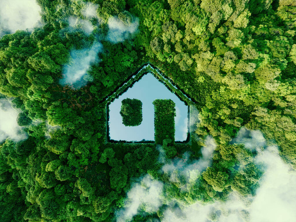 Concept met nieuwe mogelijkheden voor de ontwikkeling van duurzame bouwtechnologieën en groen leven in de vorm van een huisvormige vijver in een weelderig bos. 3d destructie. - Foto, afbeelding