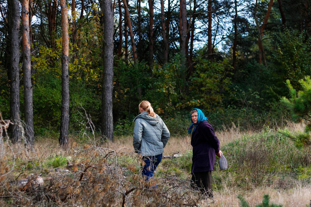 背中と2人の女性の側のビューの松林の中を歩くことに焦点を当てる。キノコ狩りシーズン、レジャーや人々の概念は、母親と娘の秋の森の中を歩く。道に迷った。集中できない. - 写真・画像