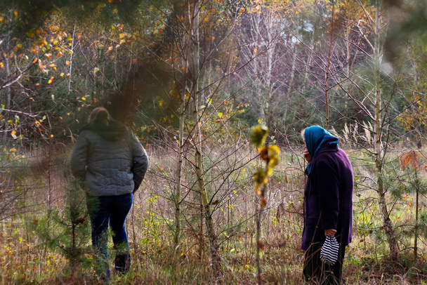 Defocus back and side view of two woman walking in pine forest. Mushroom picking season, leisure and people concept, mother and daughter walking in autumn forest. People lost. Out of focus. - Fotoğraf, Görsel