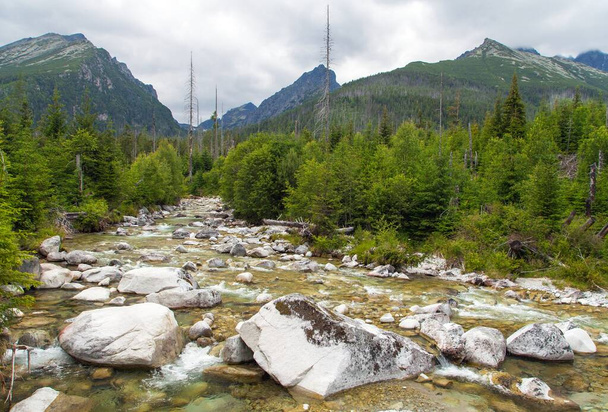 Cascadas en el arroyo Studeny potok en las montañas de Alta Tatras, Cárpatos, Eslovaquia - Foto, Imagen