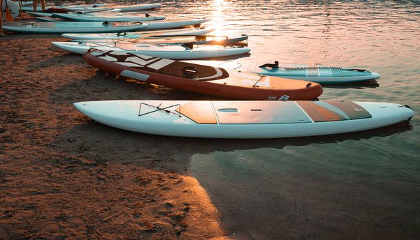 Κοντινό πλάνο του stand up SUP κουπί σκάφους στη λίμνη ή τη θάλασσα με μπλε νούφαρα, κωπηλασία το καλοκαίρι στο ηλιοβασίλεμα. Θερινές οικογενειακές διακοπές - Φωτογραφία, εικόνα