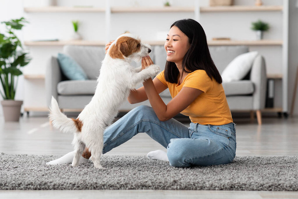 Alegre asiático mujer entrenando su perro, dando golosinas - Foto, Imagen