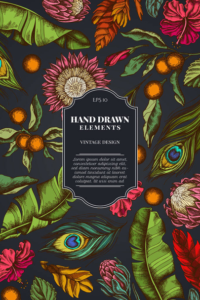 Card design on dark background with banana palm leaves, hibiscus, solanum, bromeliad, peacock feathers, protea - Διάνυσμα, εικόνα