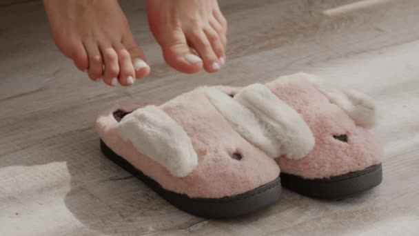 Naisten jalat laittaa viihtyisä kani pehmo kotiin tossut ja kävely pois - Materiaali, video