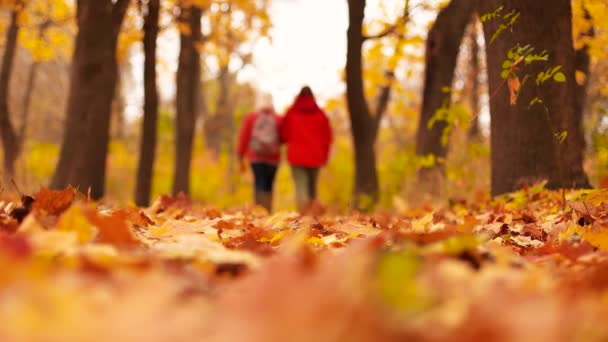 Vista turva de duas pessoas caminhando no dia de outono no parque da cidade - Filmagem, Vídeo