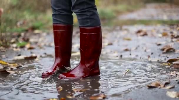 Soğuk yağmurdan sonra sonbahar çamurlu su birikintisinde zıplayan kırmızı lastik çizmeli bir kadın. - Video, Çekim