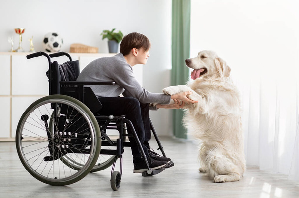 Vammainen teini-ikäinen poika pyörätuolissa leikkimässä koiransa kanssa kotona. Eläinten ystävyyden käsite - Valokuva, kuva
