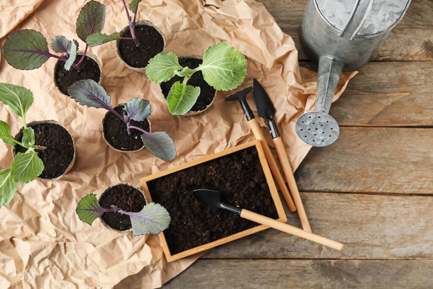 Plantes plantules dans des pots de tourbe et des outils de jardinage sur fond en bois - Photo, image