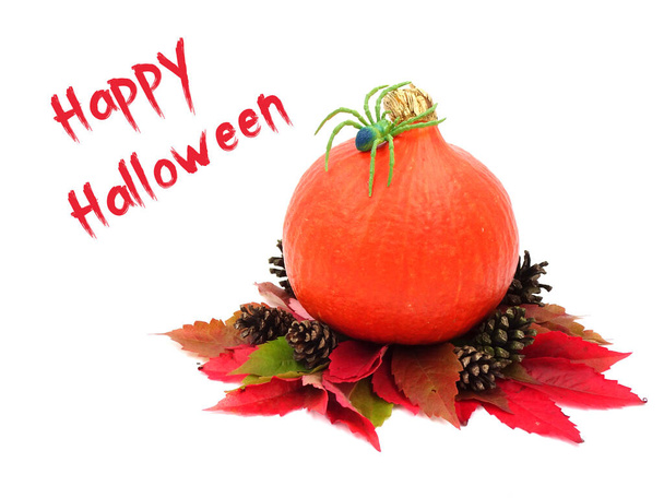 Halloween dekoracji z dyni, pająk, jesienne liście, szyszki sosnowe i z tekstem Happy Halloween na białym tle. - Zdjęcie, obraz