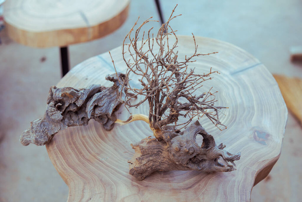Einzigartige getrocknete Überreste von Baumwurzeln - Foto, Bild