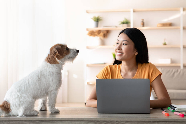 Asiatico donna freelancer parlando con cane mentre si lavora online - Foto, immagini