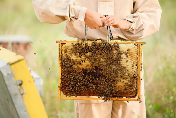 Female beekeeper working at apiary - Фото, зображення