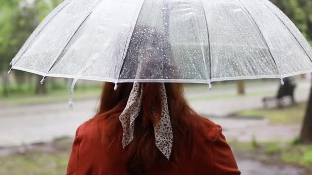 Transparante regendruppels op paraplu, slecht weer, modderige regenbui - Video