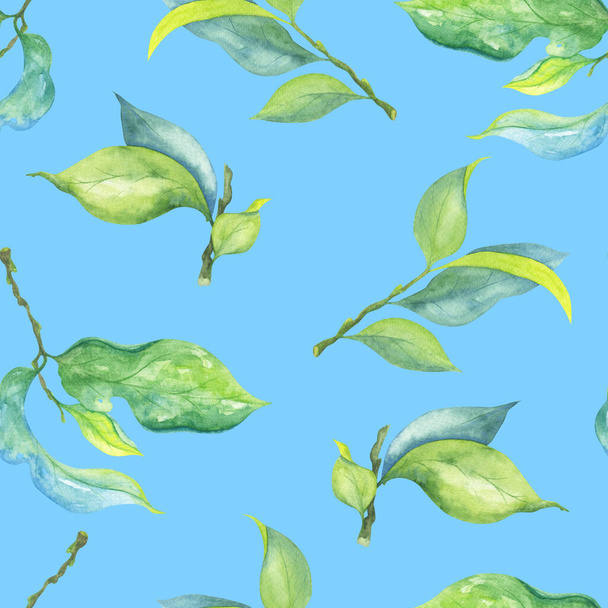 Солнечно-зеленые листья на ветвях. Акварель бесшовный узор на голубом фоне. Иллюстрация для ткани, декора, чехлов. - Фото, изображение