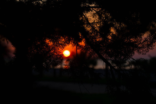 Батумі (Грузія) - 20 вересня 2021 року: захід сонця на березі. - Фото, зображення