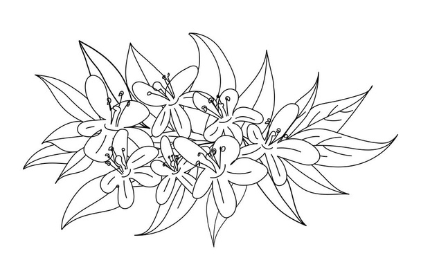 Vector illustration of blossoming flowers in line art style. - Wektor, obraz