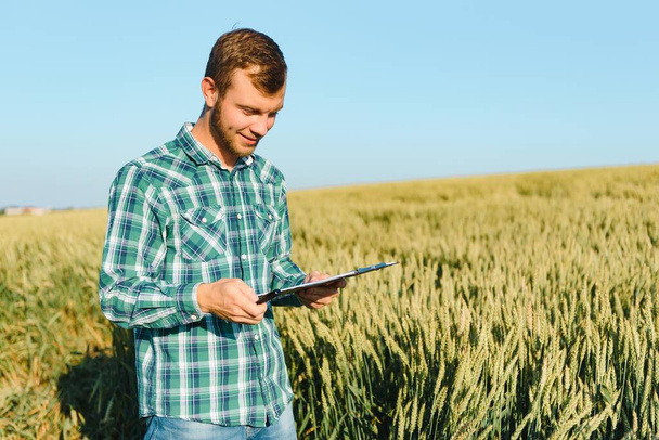 Farmer on a green wheat field with a tablet in his hands. Smart farm. Farmer checking his crops on an agricultural field. Ripening ears of wheat field. The concept of the agricultural business. - Фото, изображение
