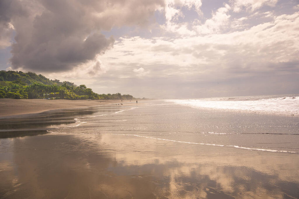 Пляж с пальмами с облачным небом на заднем плане. Пляж Жако в Коста-Рике - Фото, изображение
