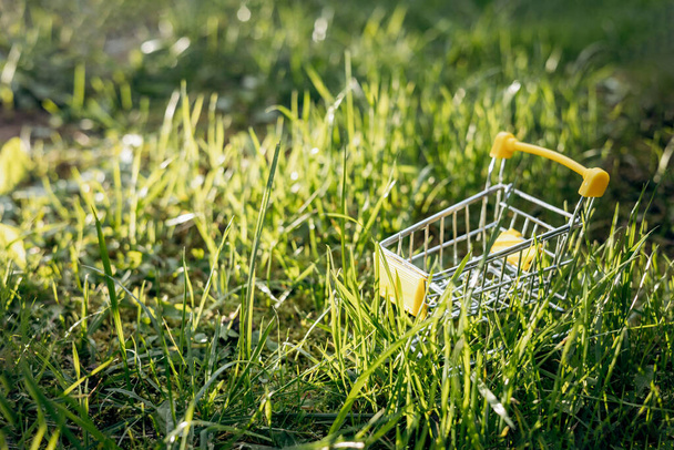 持続可能な消費。緑の芝生の背景に空のショッピングカート。廃棄物ゼロのコンセプト。スペースのコピー. - 写真・画像