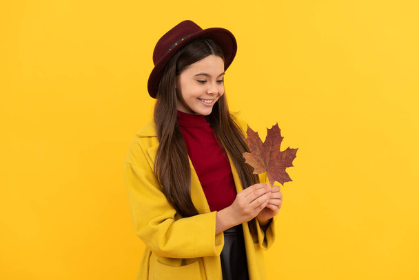 cheerful teen girl in hat and coat with autumn maple leaf on yellow background, fall - Photo, Image