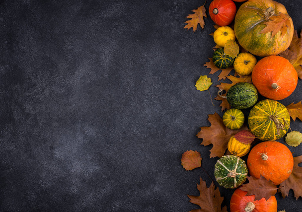 Various decorative pumpkins. Autumn concept - Фото, зображення
