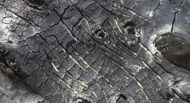 Charred wood surface in black color - Photo, Image