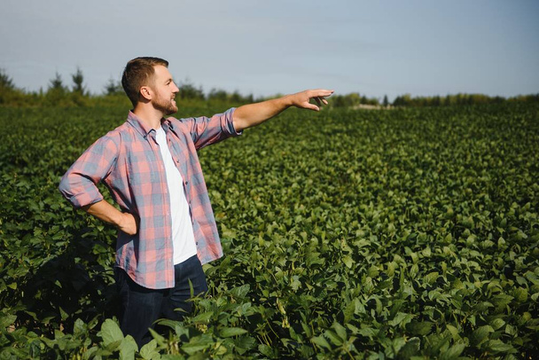 Young handsome agriculture engineer on soybean field with tablet in hands in early summer - Foto, imagen
