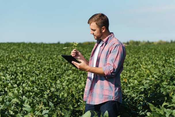 Young handsome agriculture engineer on soybean field with tablet in hands in early summer - Foto, imagen