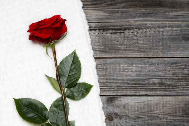 Red rose on an old wooden faded background. Gray wallpaper with a single flower. Copy space text. The concept of the Valentine's Day holiday. - Фото, изображение