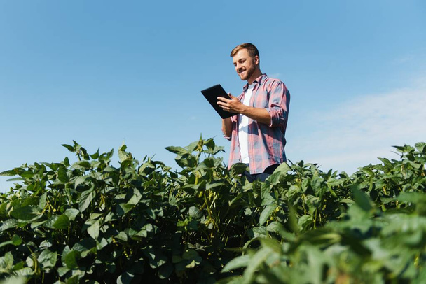 Young handsome agriculture engineer on soybean field with tablet in hands in early summer - Zdjęcie, obraz