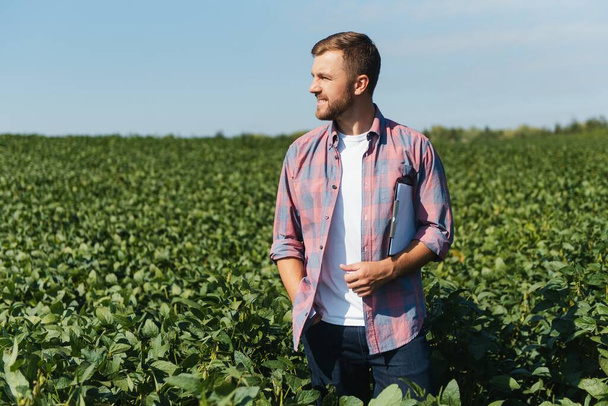 agronomist or farmer examining crop of soybeans field - Foto, afbeelding