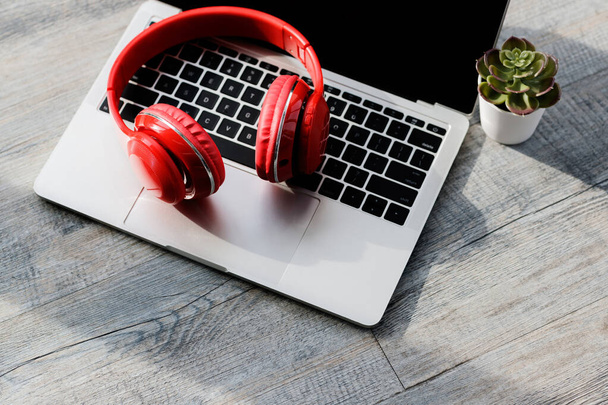 Zbliżenie strzał z dużej czerwonej muzyki słuchawki audio na otwartym laptopie komputera z pustym czarnym monitorem do reklam reklamy miejsca skopiować z zielonym soczysty doniczki roślin na starym drewnianym stole tekstury. - Zdjęcie, obraz