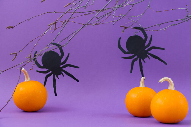 Halloween holiday concept. Spider, leafless tree branches, orange autumn pumpkins on a purple background. - 写真・画像