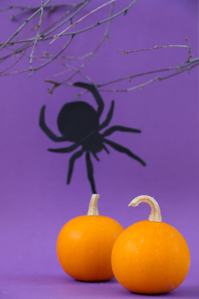 Cadılar Bayramı konsepti. Örümcek, yapraksız ağaç dalları, mor arka planda turuncu sonbahar balkabakları.. - Fotoğraf, Görsel