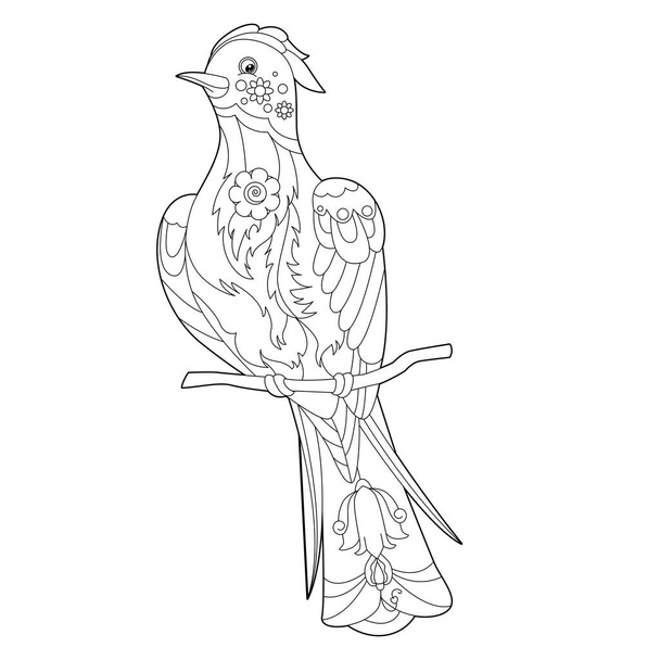 Contour linear illustration for coloring book with decorative paradise bird. Beautiful bird,  anti stress picture. Line art design for adult or kids  in zen-tangle style, tatoo and coloring page. - Vector, afbeelding