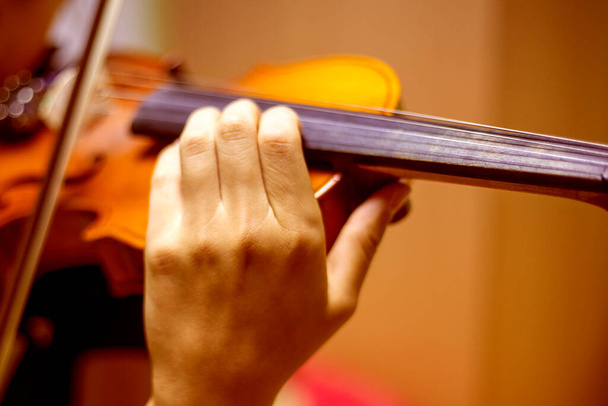 jovem violinista atencioso toca música no violino, horizontal - Foto, Imagem