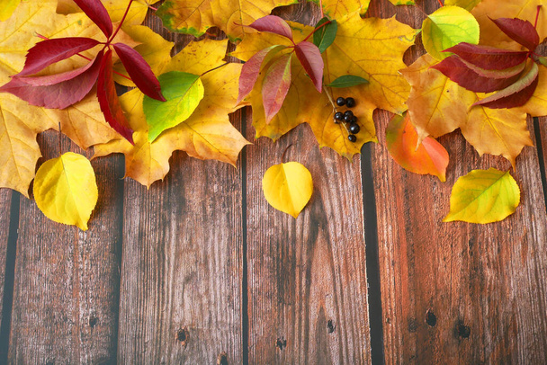 Podzimní listí na dřevěném podkladu s kopírovacím prostorem, podzimní javorové listy, horní pohled - Fotografie, Obrázek