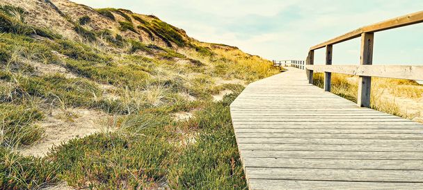 A wooden boardwalk on an elevated grassy coast under a cloudy sky - Photo, Image