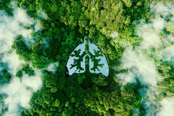 Egy metaforikus kép a Föld bolygó tüdejéről. Egy ikon egy tüdő alakú tó formájában egy vad, érintetlen és érintetlen erdő közepén. 3D-s renderelés. - Fotó, kép